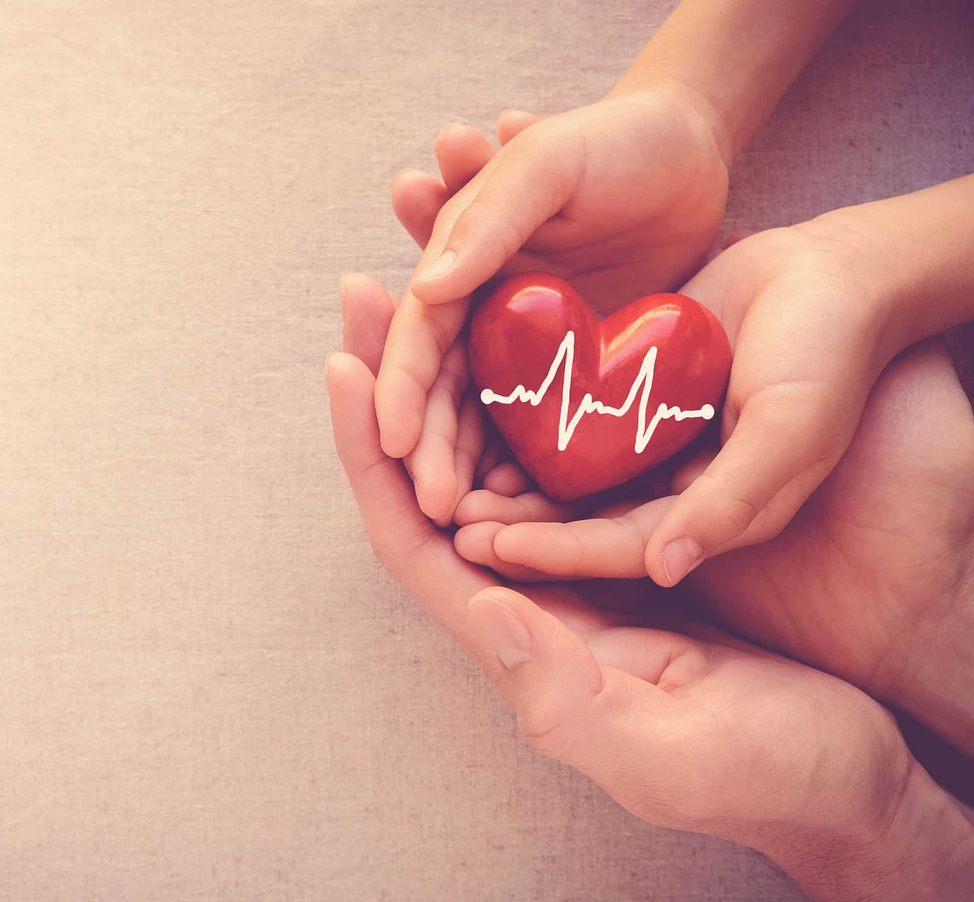 Two pairs of hands cupping a red ceramic heart