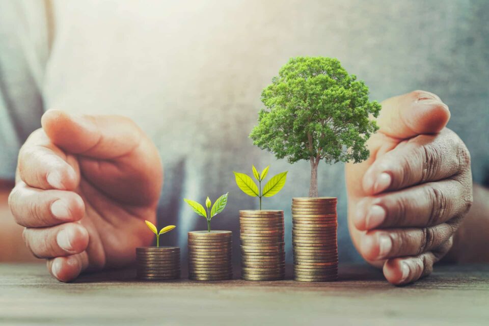 Multiple stacks of coins that get progressively taller while a tree sprouts out of them