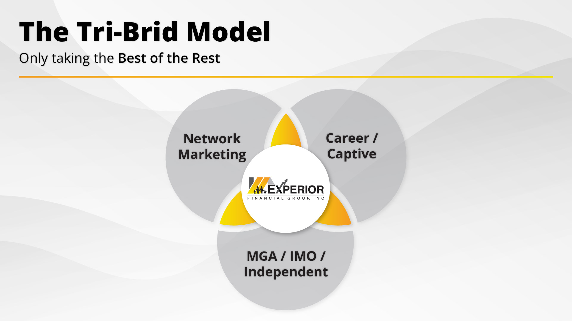 The Experior Tri-Brid Model